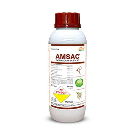 Amsac