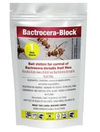 Bactrocera-Block