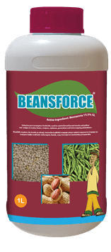BeansForce