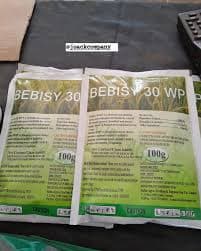 Bebisy