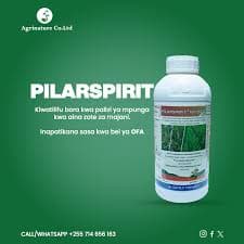 Pilarspirit