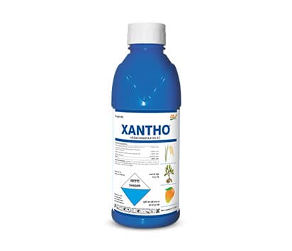 Xantho
