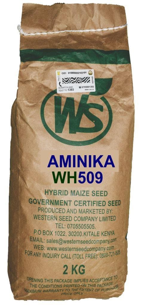 Amiknika 509