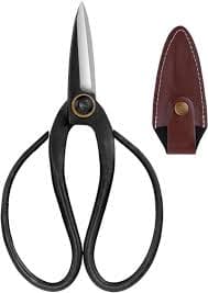 Mkasi Mdogo (Small Pruning Shears)