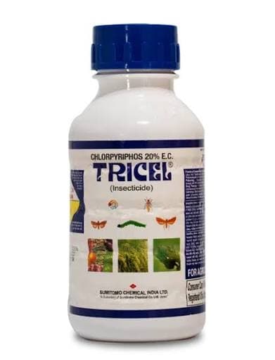 Tricel