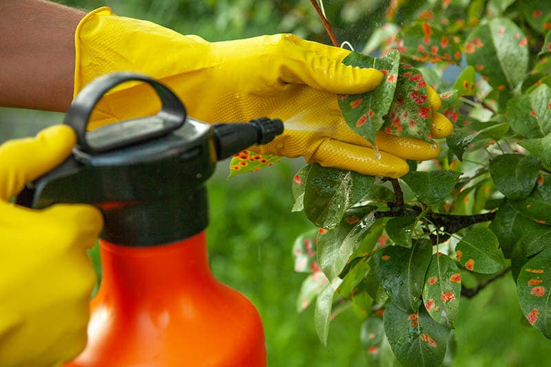 FUNGICIDES Agrodigito