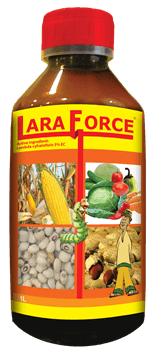 Laraforce