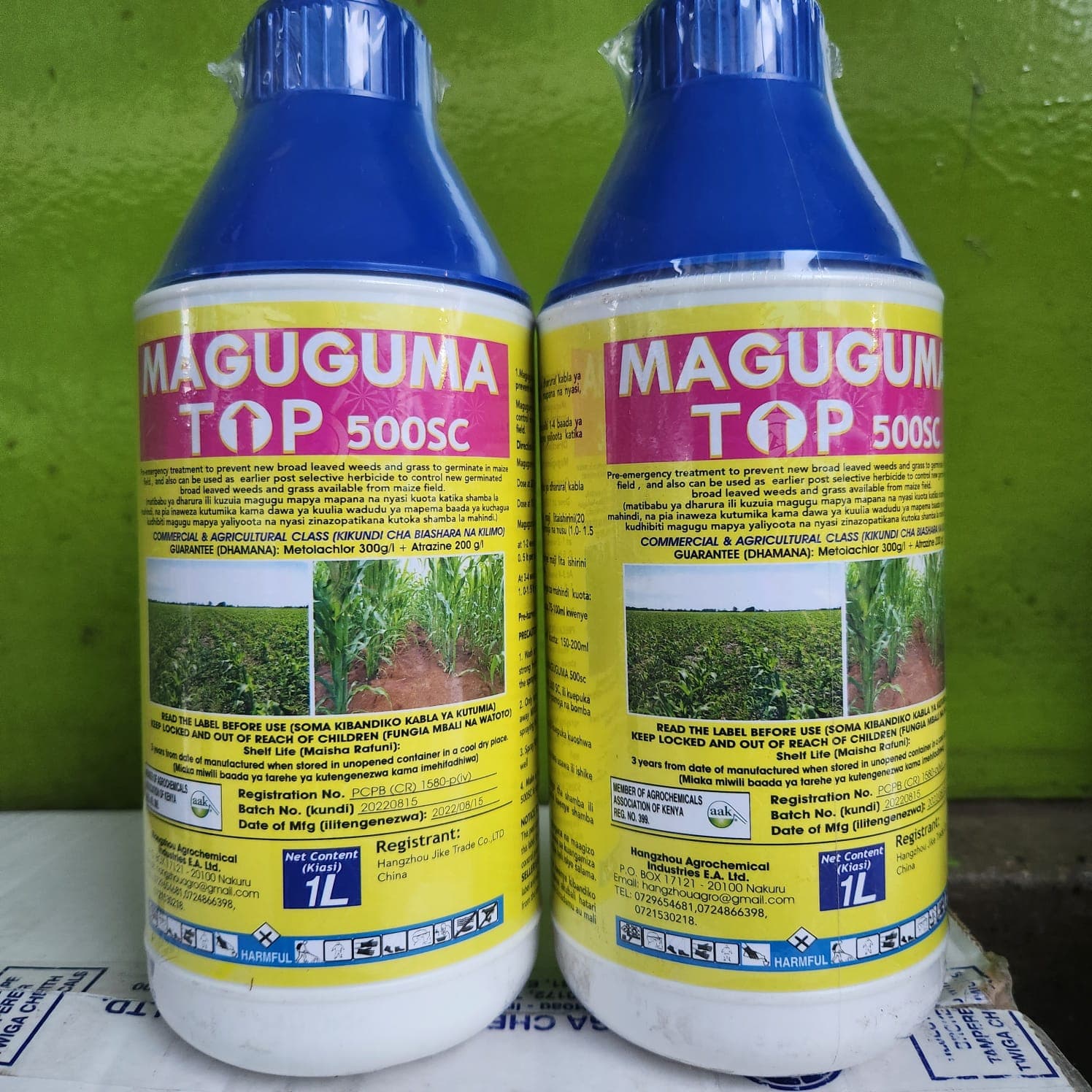 T-Maguguma