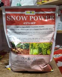 Snow Power