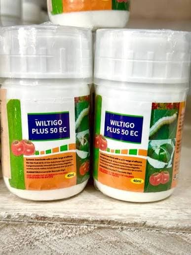 Witigo Plus
